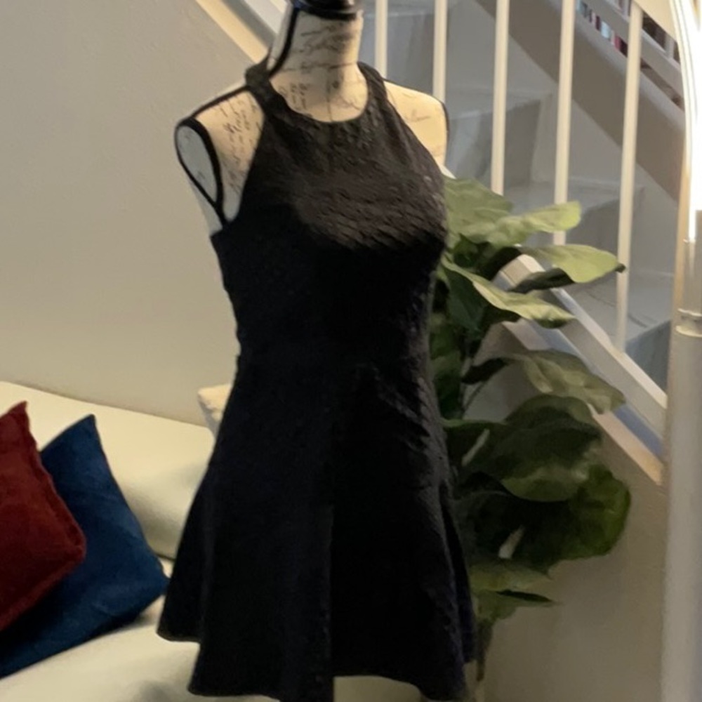 Parker Leona fit and flare dress